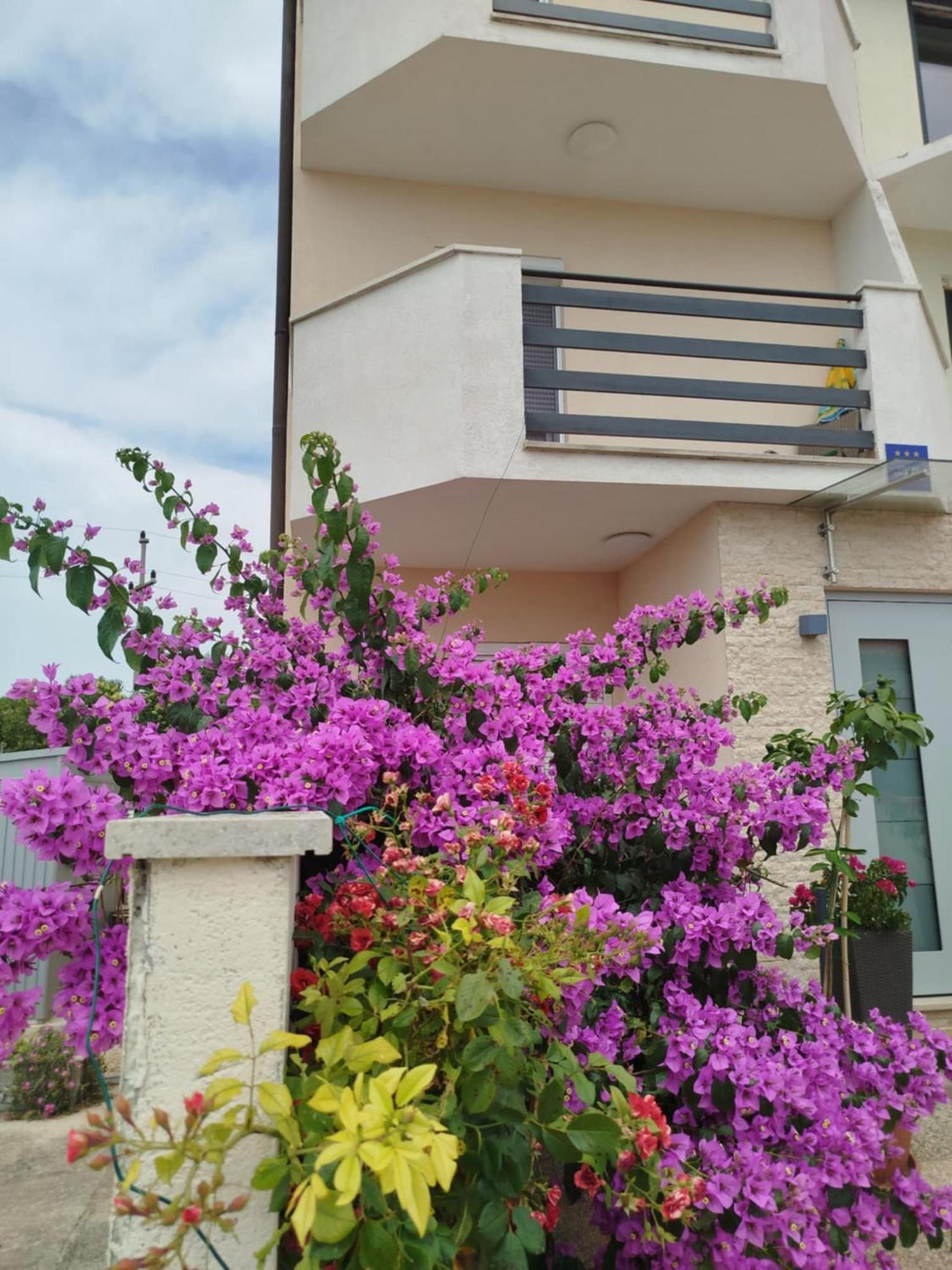 Apartment Smokvica